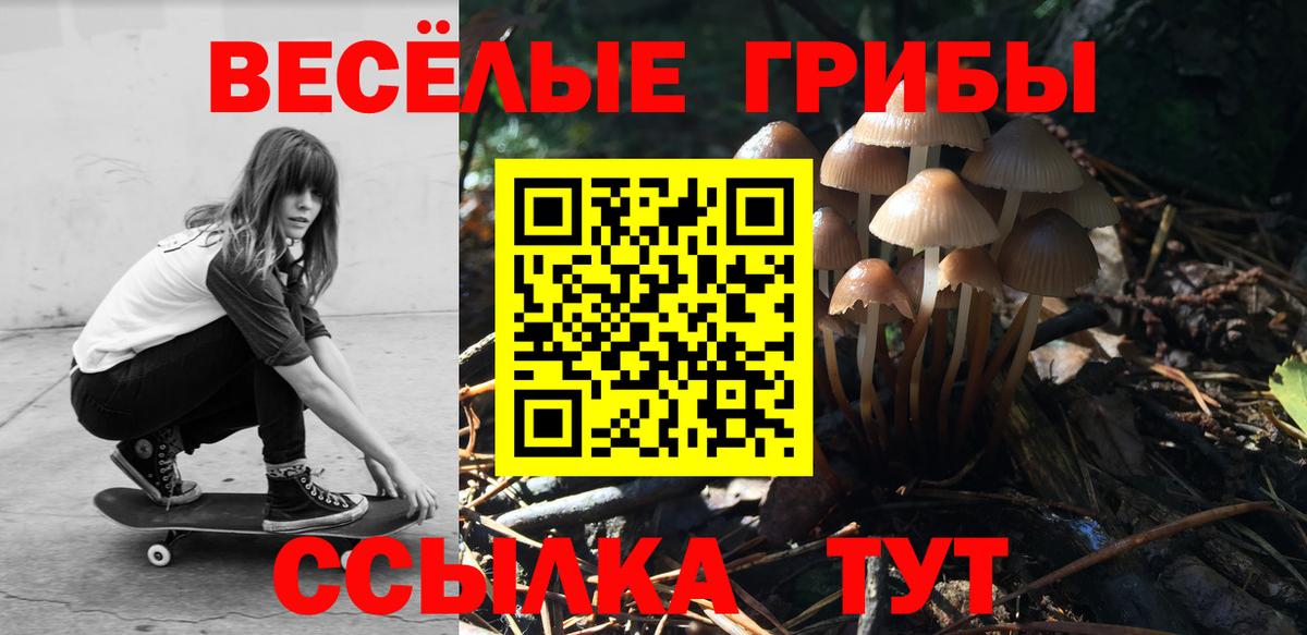 Галлюциногенные грибы мицелий Стрежевой